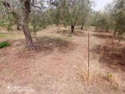 Terreno in vendita a Lanciano CH