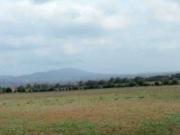 Terreno in vendita a Lanuvio RM