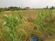 Terreno in vendita a Larciano PT
