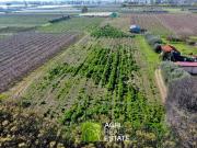 Terreno in vendita a Latina LT