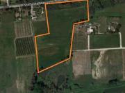 Terreno in vendita a Latina LT