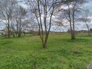 Terreno in vendita a Latina LT