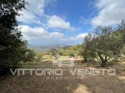 Terreno in vendita a Laureana Cilento SA