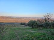 Terreno in vendita a Lavagno VR