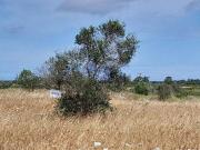Terreno in vendita a Lecce LE