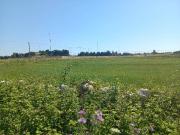 Terreno in vendita a Lecce LE