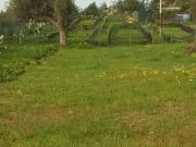Terreno in vendita a Lentini SR