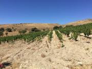 Terreno in vendita a Licata AG