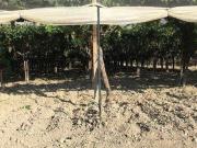 Terreno in vendita a Licata AG