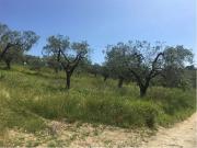 Terreno in vendita a Livorno LI