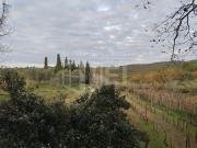 Terreno in vendita a Livorno LI