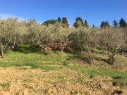 Terreno in vendita a Livorno LI