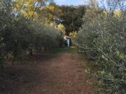 Terreno in vendita a Livorno LI