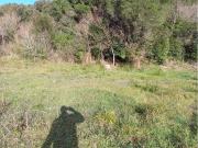 Terreno in vendita a Livorno LI