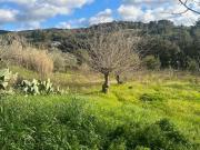 Terreno in vendita a Livorno LI