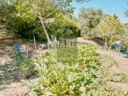 Terreno in vendita a Livorno LI