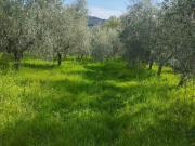 Terreno in vendita a Livorno LI
