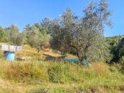 Terreno in vendita a Livorno LI