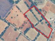 Terreno in vendita a Locorotondo BA