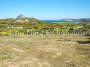 Terreno in vendita a Loiri Porto San Paolo SS
