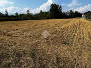 Terreno in vendita a Lombardore TO