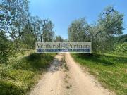 Terreno in vendita a Lonato del Garda BS