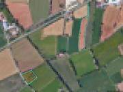 Terreno in vendita a Lonato del Garda BS