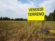 Terreno in vendita a Loreggia PD