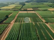 Terreno in vendita a Lurano BG