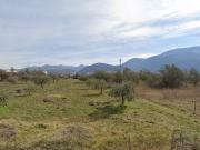 Terreno in vendita a Macchia d'Isernia IS