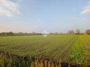 Terreno in vendita a Maddaloni CE