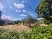 Terreno in vendita a Maenza LT