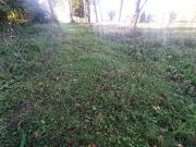 Terreno in vendita a Magione PG