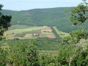 Terreno in vendita a Magliano in Toscana GR