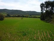 Terreno in vendita a Magliano in Toscana GR