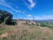 Terreno in vendita a Magliano in Toscana GR