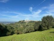 Terreno in vendita a Magliano Sabina RI