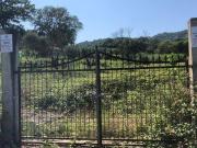Terreno in vendita a Maierato VV