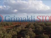 Terreno in vendita a Manduria TA