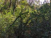 Terreno in vendita a Manerba del Garda BS