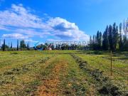 Terreno in vendita a Manerba del Garda BS