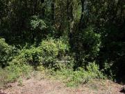 Terreno in vendita a Manocalzati AV