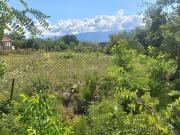 Terreno in vendita a Marano Principato CS