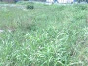 Terreno in vendita a Marano Vicentino VI