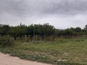 Terreno in vendita a Marigliano NA