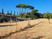 Terreno in vendita a Marino RM