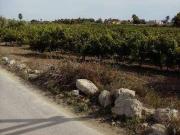 Terreno in vendita a Marsala TP