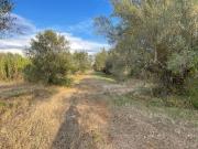 Terreno in vendita a Marta VT