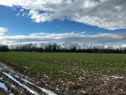 Terreno in vendita a Martellago VE