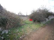 Terreno in vendita a Martina Franca TA